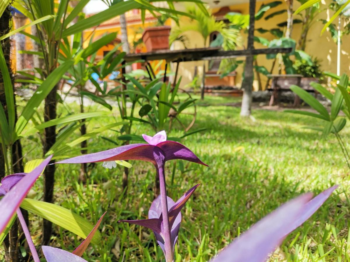 Hacienda Valentina Hotel Playa del Carmen Buitenkant foto